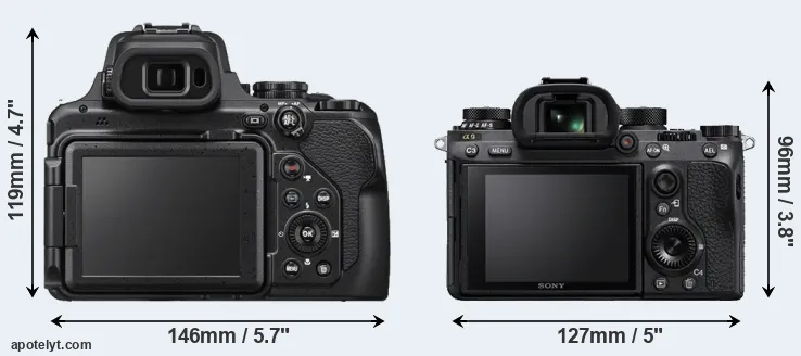 Comparison P1000 or A9 rear