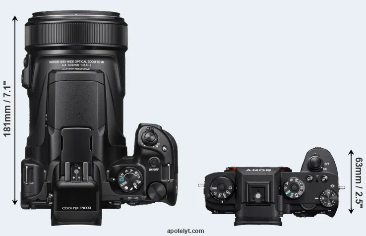 Compare P1000 versus A9 top