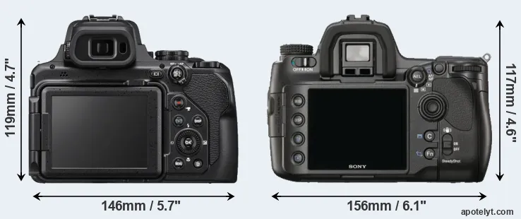 Comparison P1000 or A900 rear
