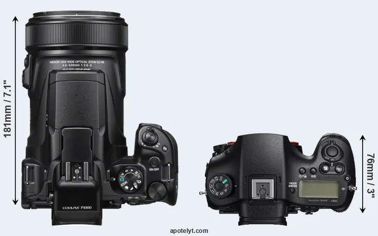 Compare P1000 versus A99 II top