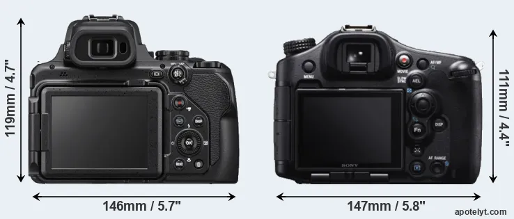Comparison P1000 or A99 rear