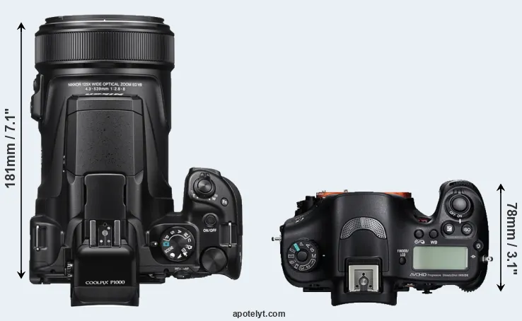 Compare P1000 versus A99 top