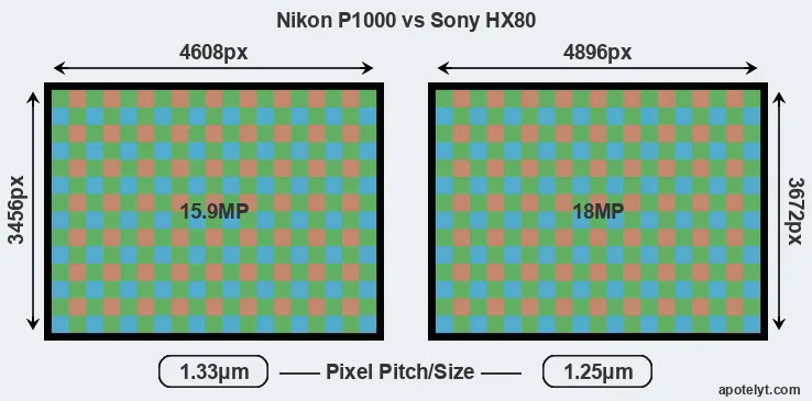 P1000 versus HX80 MP