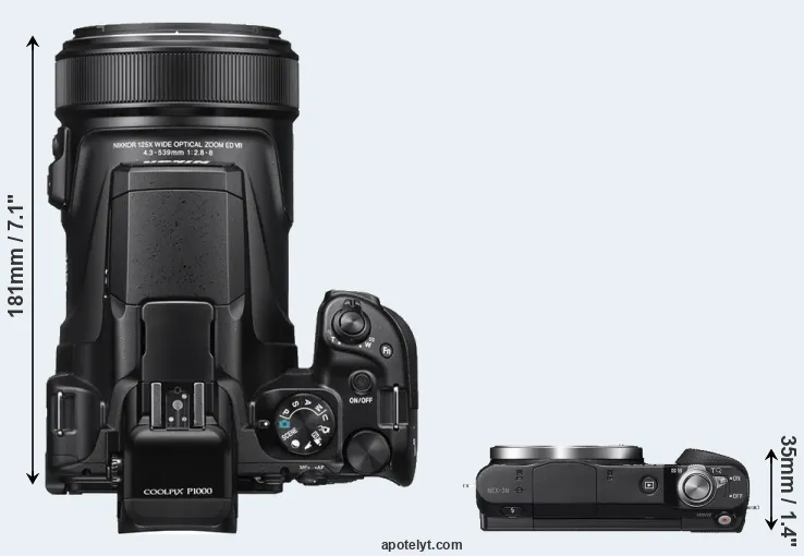 Compare P1000 versus NEX-3N top