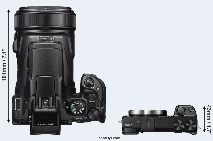 Compare P1000 versus NEX-7 top