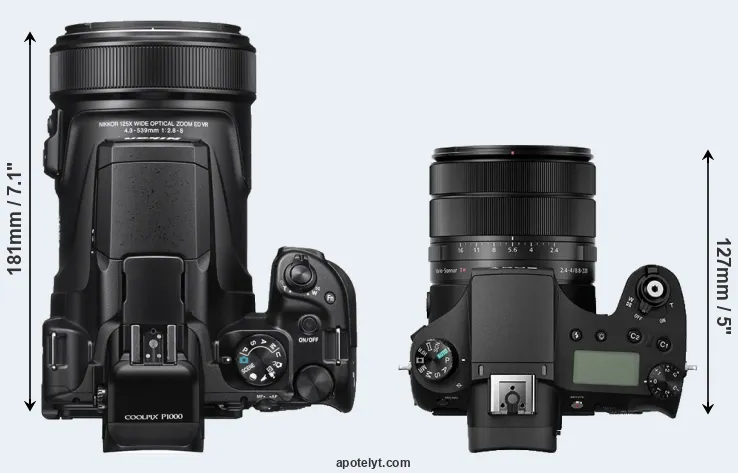 Compare P1000 versus RX10 III top