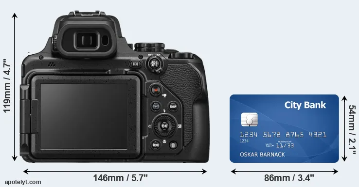 P1100 and credit card rear side