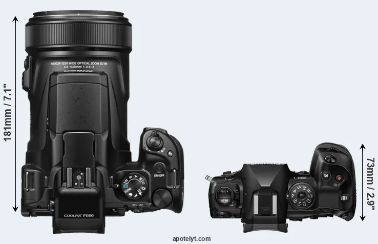 Compare P1100 versus OM-1 top