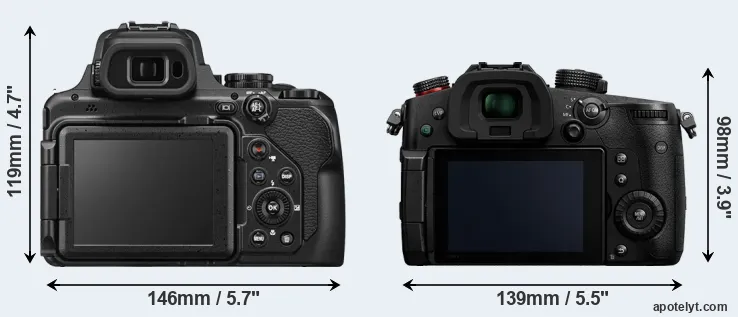 Comparison P1100 or GH5 II rear