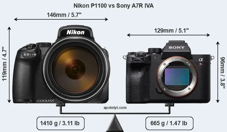 Size Nikon P1100 vs Sony A7R IVA