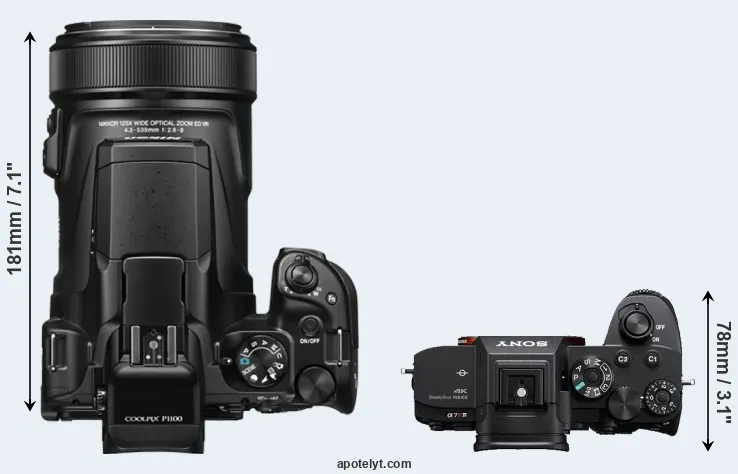 Compare P1100 versus A7R IVA top