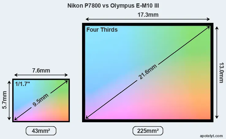 Nikon P7800 and Olympus E-M10 III sensor measures