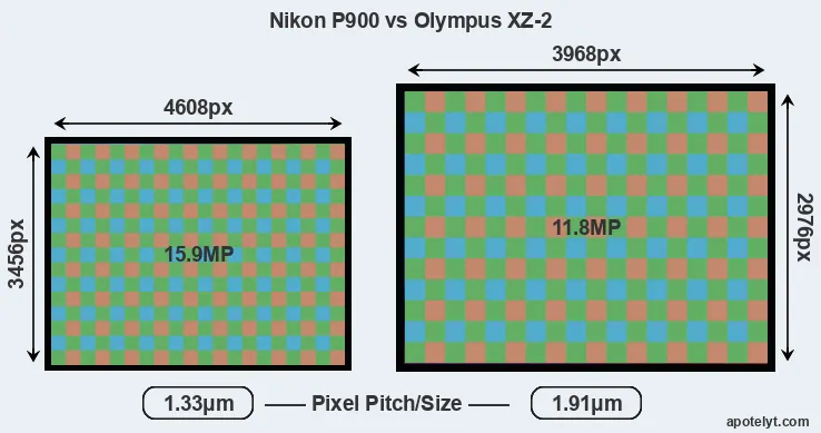 P900 versus XZ-2 MP