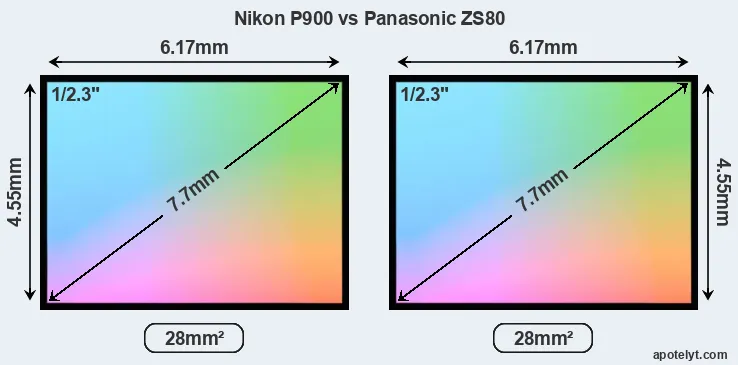 Nikon P900 and Panasonic ZS80 sensor measures