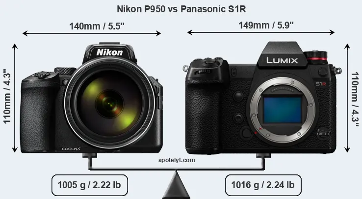 Size Nikon P950 vs Panasonic S1R