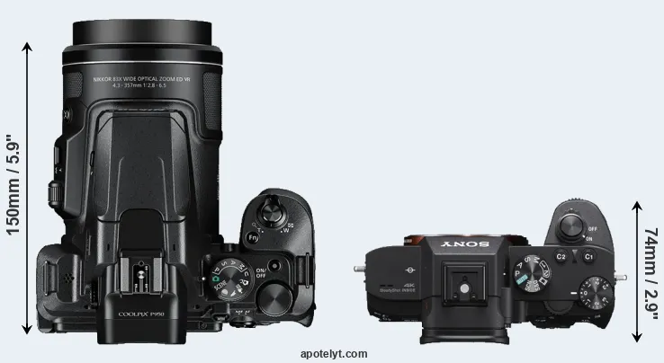 Compare P950 versus A7 III top