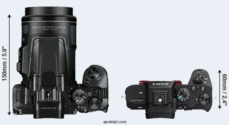 Compare P950 versus A7R II top