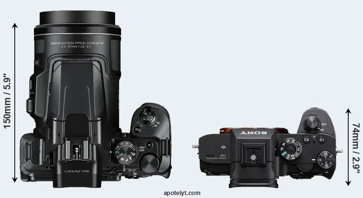 Compare P950 versus A7R III top