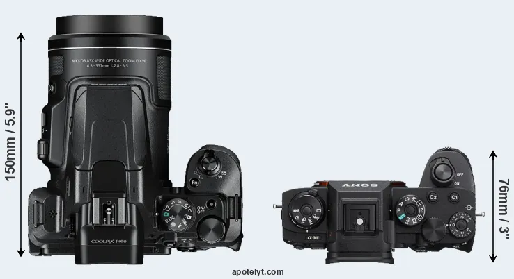 Compare P950 versus A9 II top