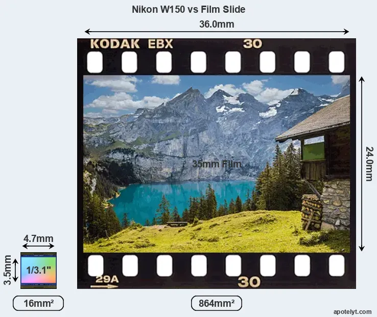 Nikon W150 sensor measures