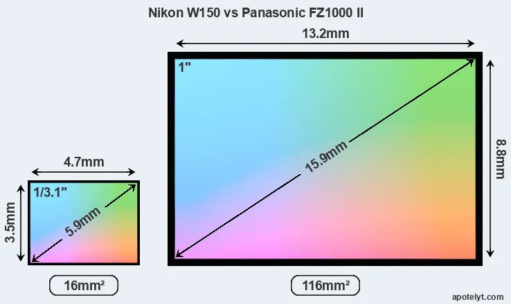 Nikon W150 and Panasonic FZ1000 II sensor measures