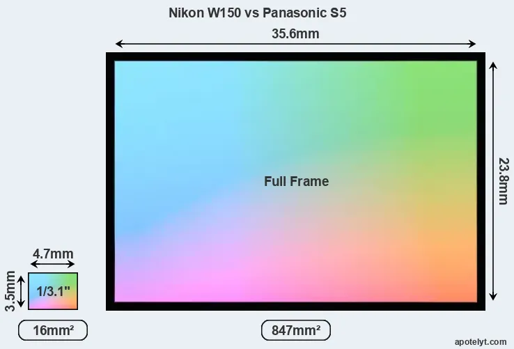 Nikon W150 and Panasonic S5 sensor measures