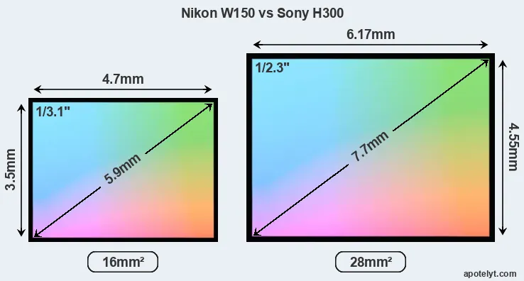 Nikon W150 and Sony H300 sensor measures