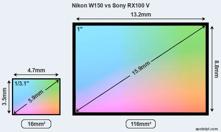Nikon W150 and Sony RX100 V sensor measures