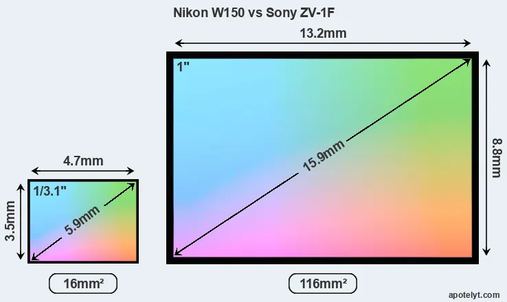 Nikon W150 and Sony ZV-1F sensor measures