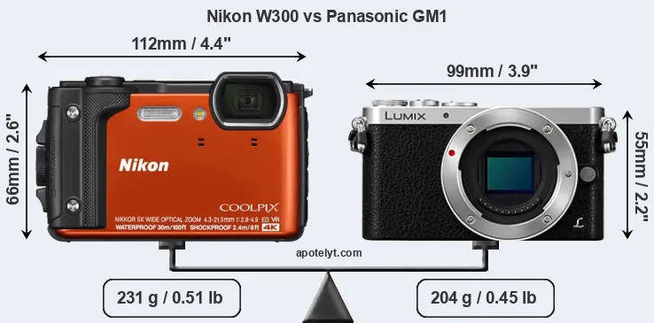 Size Nikon W300 vs Panasonic GM1