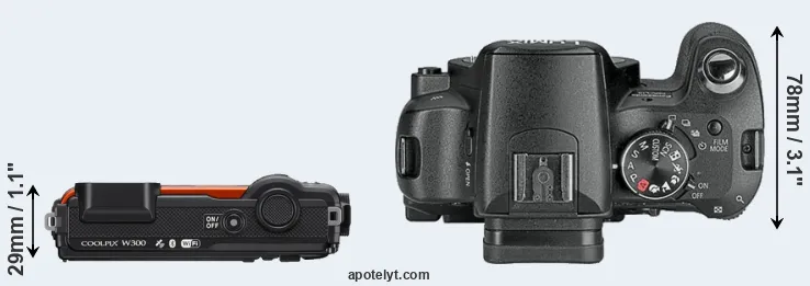 Compare W300 versus L10 top
