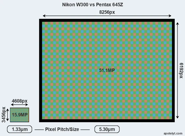 W300 versus 645Z MP