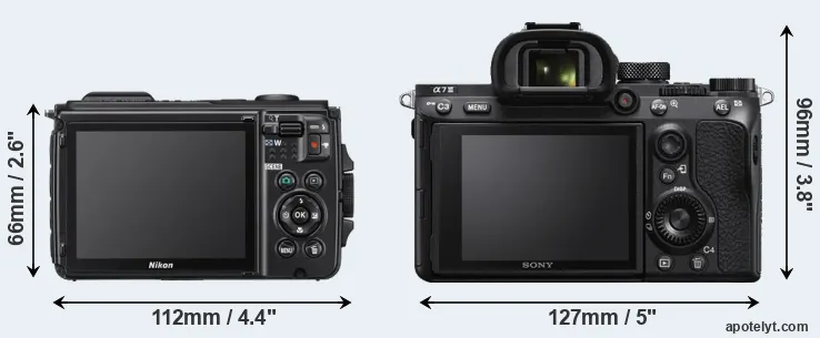 Comparison W300 or A7 III rear