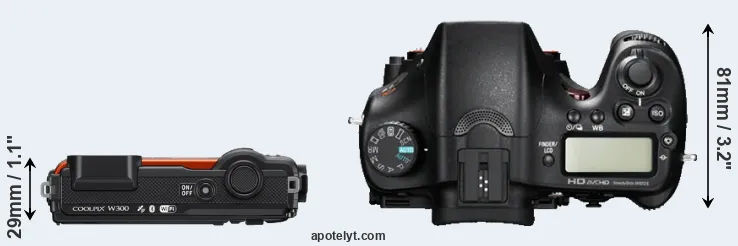 Compare W300 versus A77 top