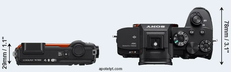 Compare W300 versus A7R IV top