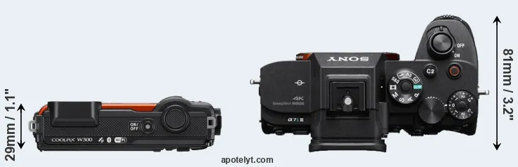 Compare W300 versus A7S III top