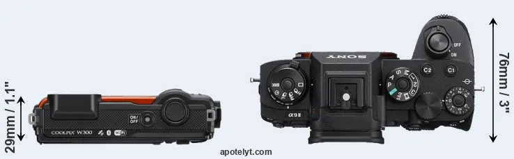 Compare W300 versus A9 II top