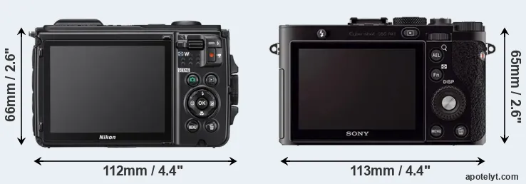 Comparison W300 or RX1 rear