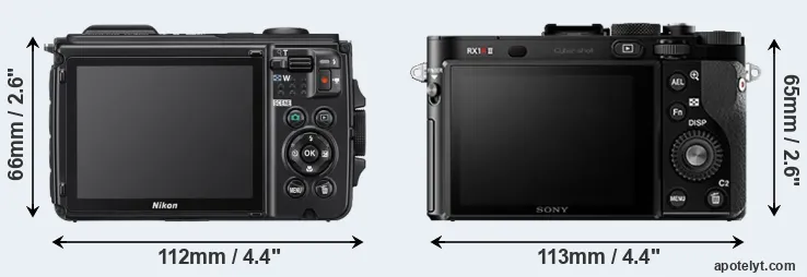 Comparison W300 or RX1R II rear