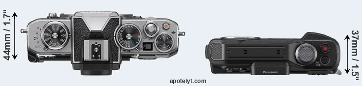 Compare Z fc versus FT7 top
