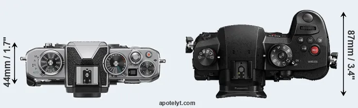 Compare Z fc versus GH5s top