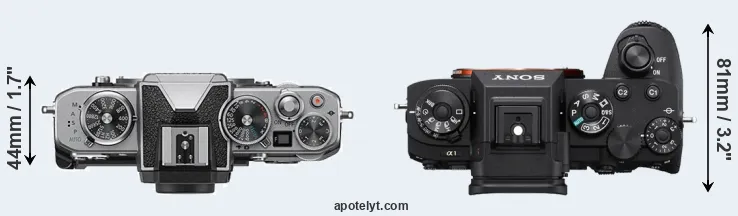 Compare Z fc versus A1 top