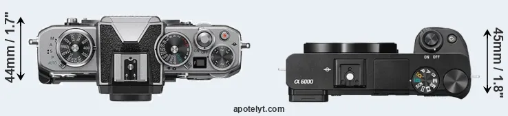 Compare Z fc versus A6000 top