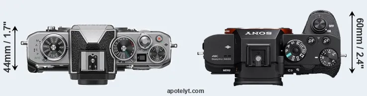 Compare Z fc versus A7S II top