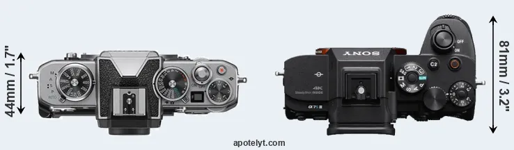 Compare Z fc versus A7S III top