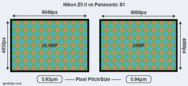Z5 II versus S1 MP