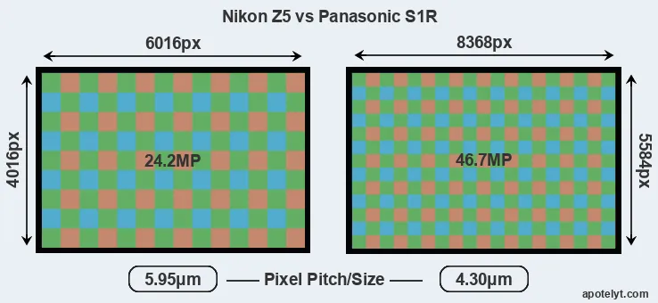 Z5 versus S1R MP