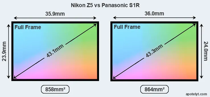 Nikon Z5 and Panasonic S1R sensor measures