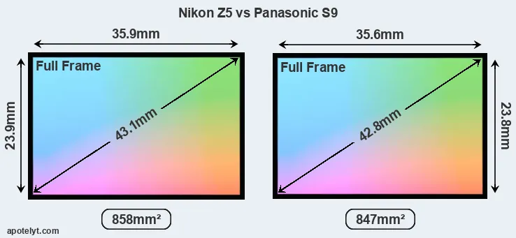 Nikon Z5 and Panasonic S9 sensor measures