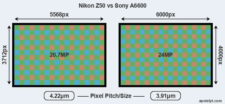 Z50 versus A6600 MP